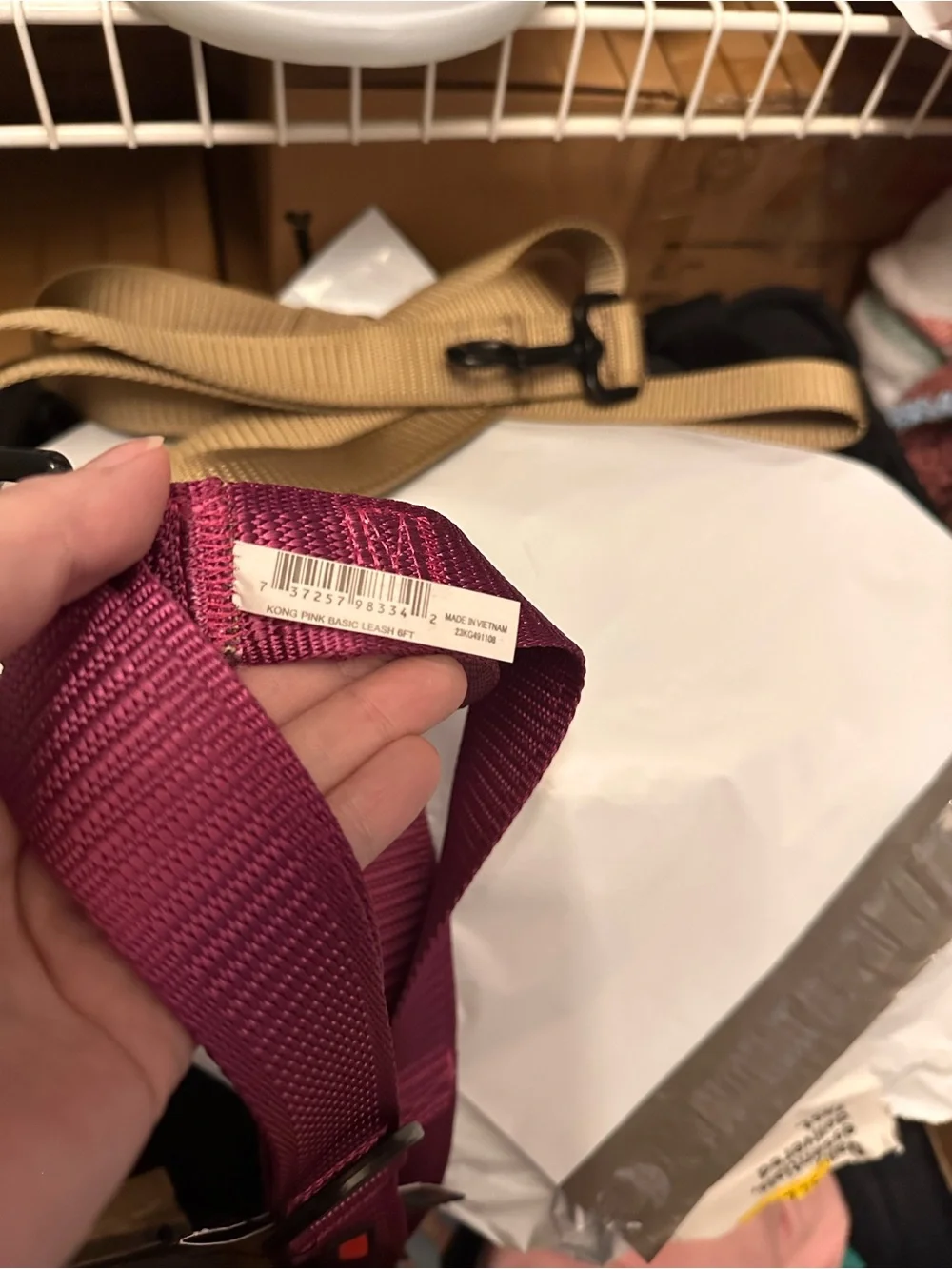 Kong Pink Dog Collar or Leash with Black Hardware